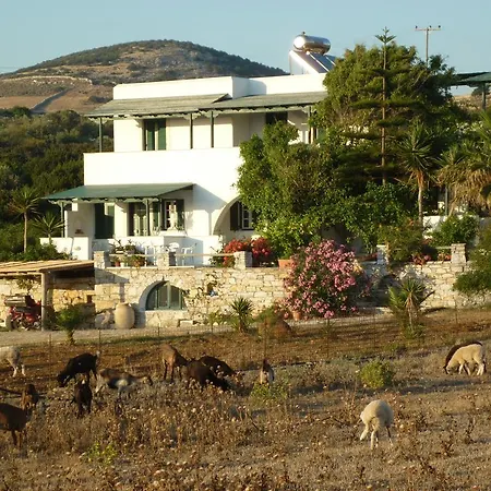 Manolis Farm Aliko Beach