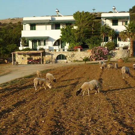 Manolis Farm Guest house Aliko Beach